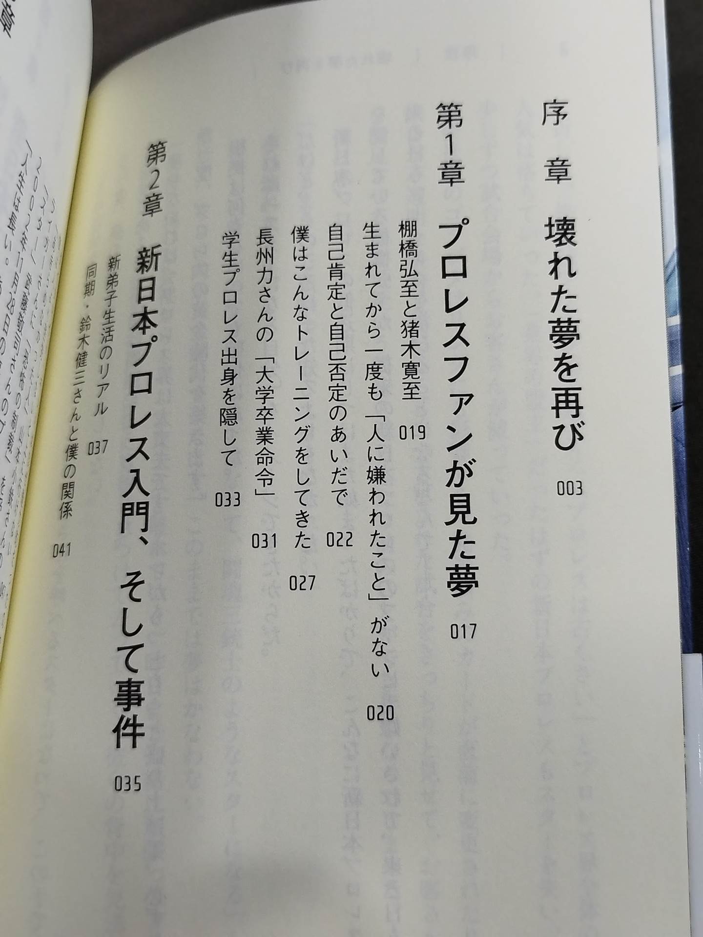 Why Hiroshi Tanahashi  New Japan Pro Wrestling Was it possible to change it?