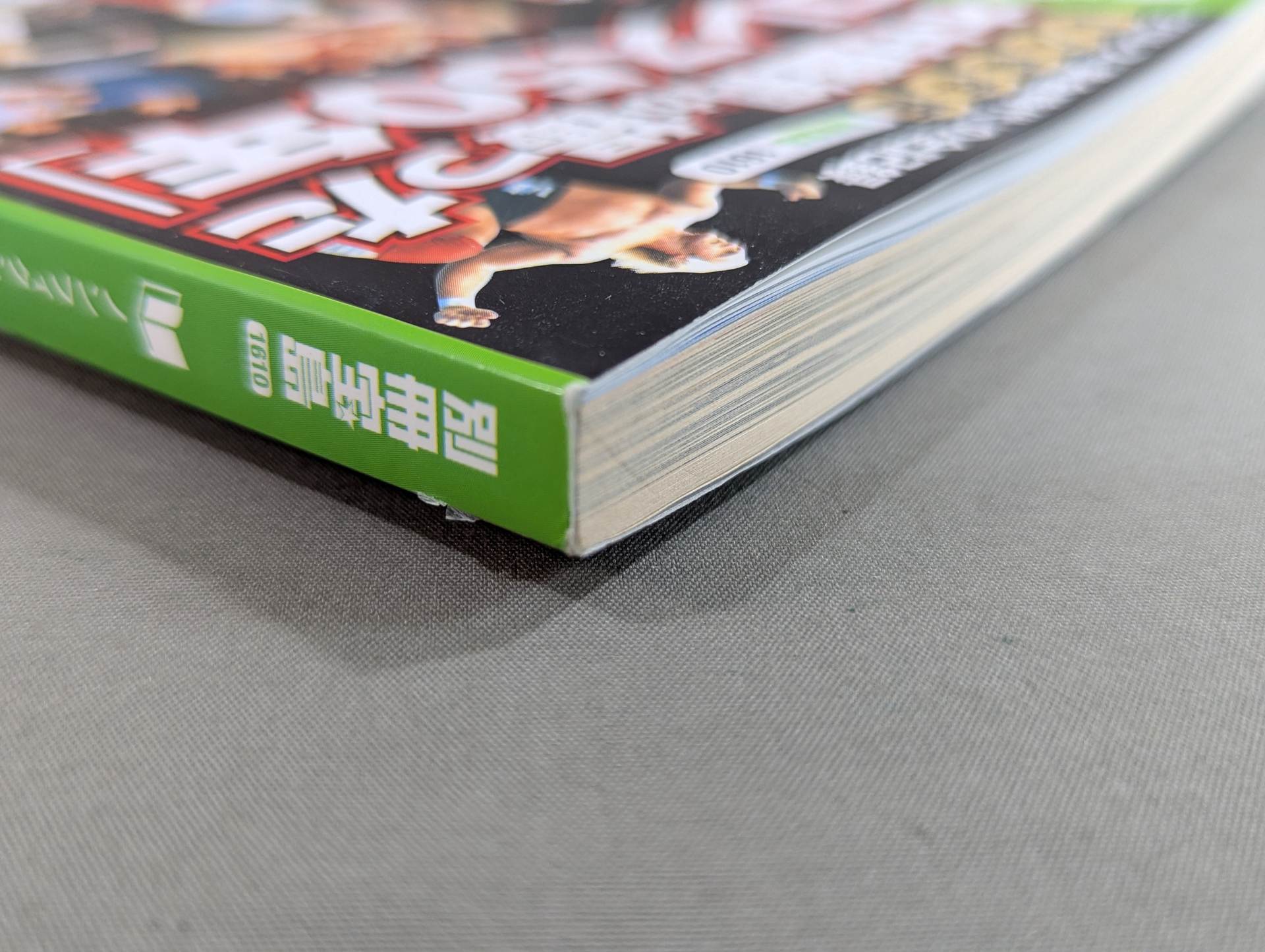 別冊宝島1610 永久保存版 木村盛綱が撮った｢プロレス50年｣ – 闘道館