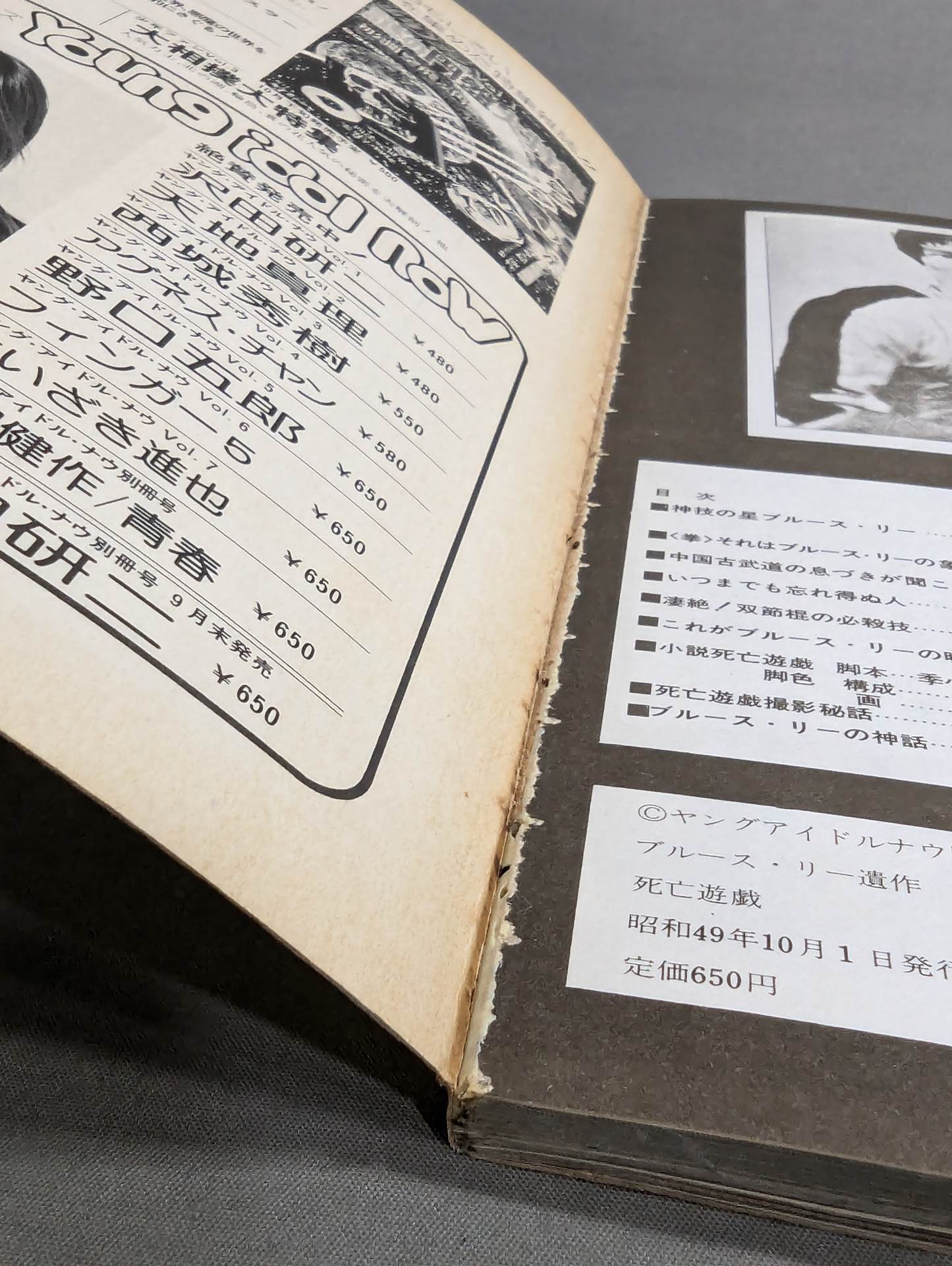 ブルース・リー遺作 死亡遊戯 – 闘道館
