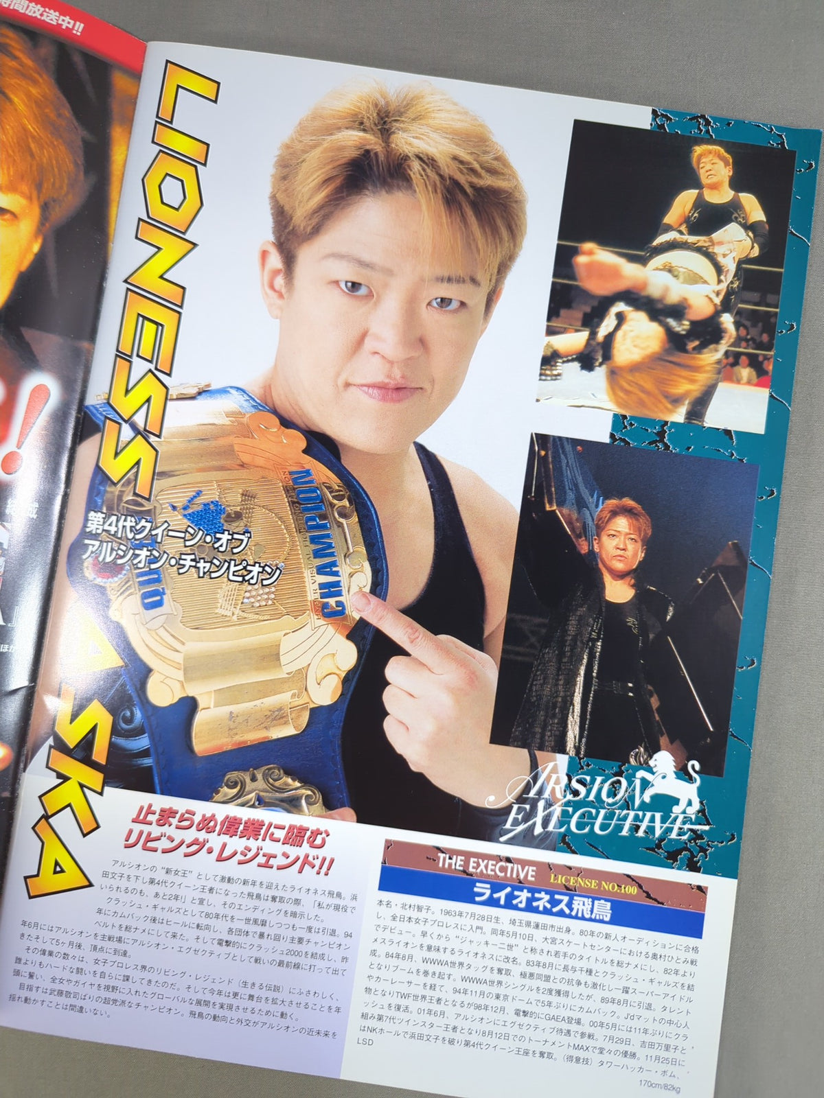 アルシオン オフィシャルガイドブック Vol.24 / STARDOM 2002