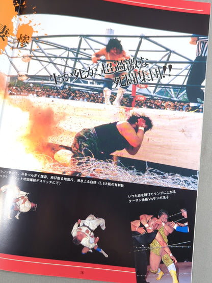 8.17 Battle of Fire / FMW&Rock IN Tosu