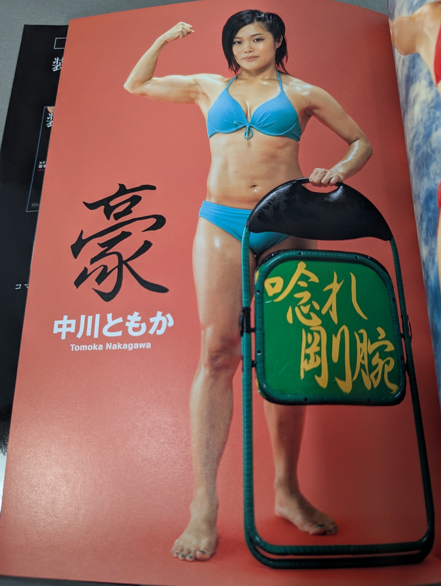 Steel-backed beauty ~Women's PRO wrestler super combative photo  collection~