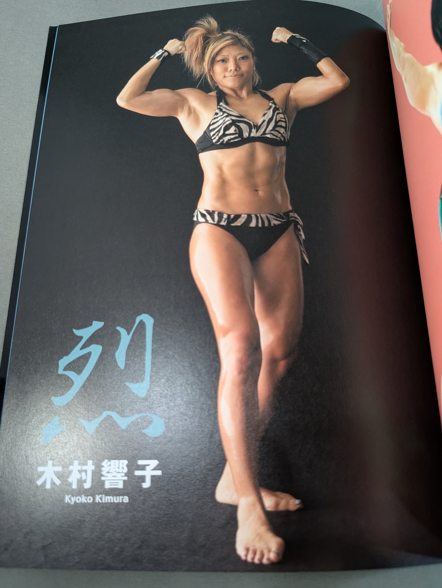 Steel-backed beauty ~Women's PRO wrestler super combative photo  collection~