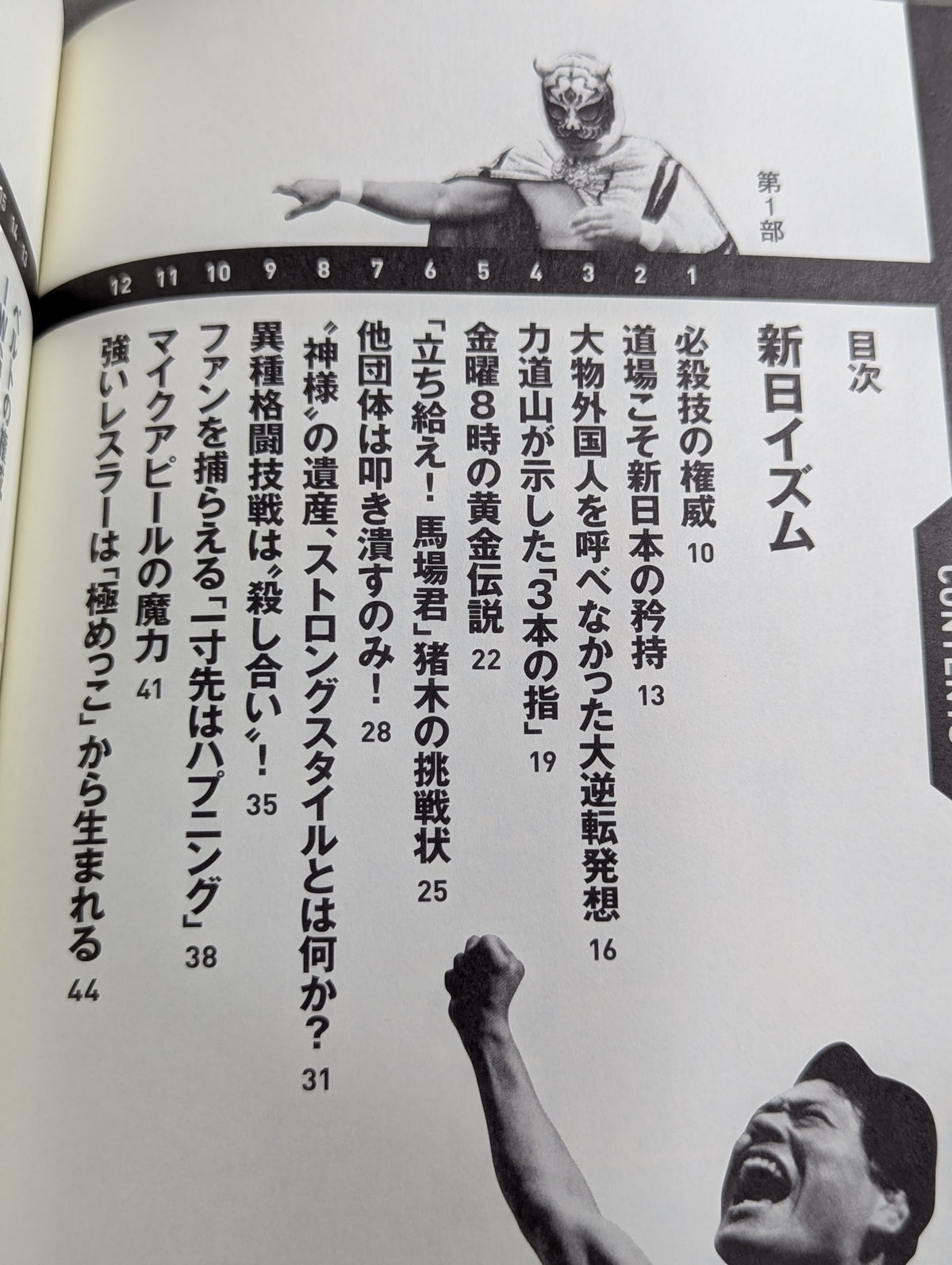 詳説 新日イズム 完全版