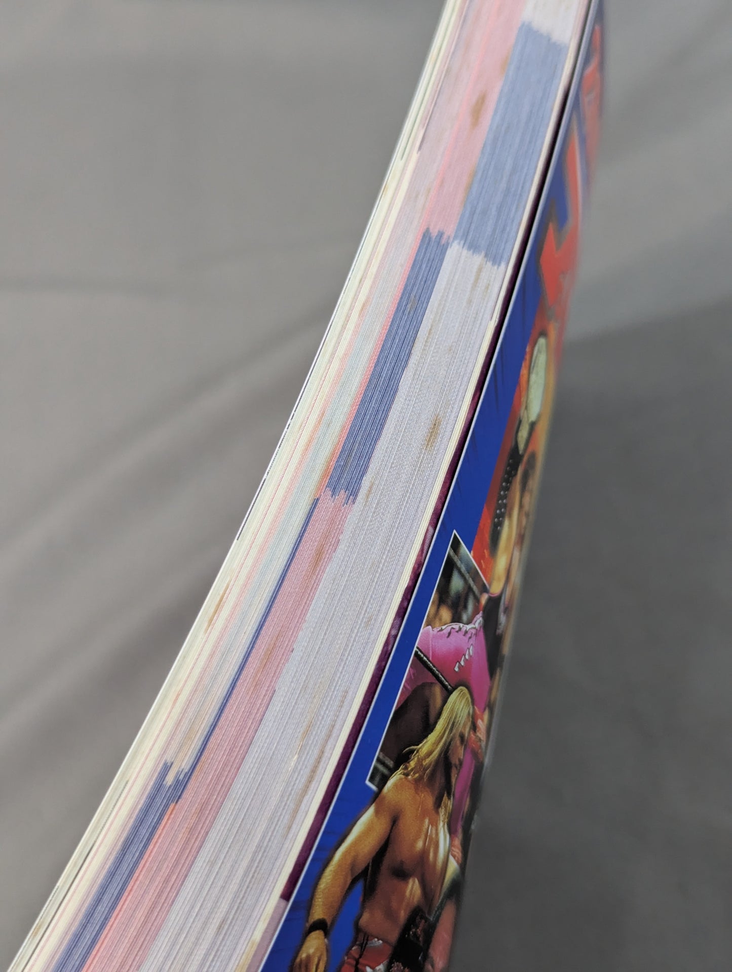 2000 Gong Pro Wrestling  Directory