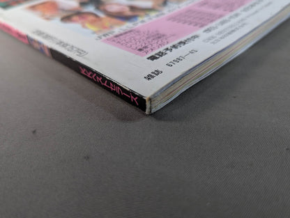 Women's Pro Wrestling  SUPER BOOK!2 All-Out Special Feature, Hokuto Retirement & Tokyo Dome Commemorative Issue