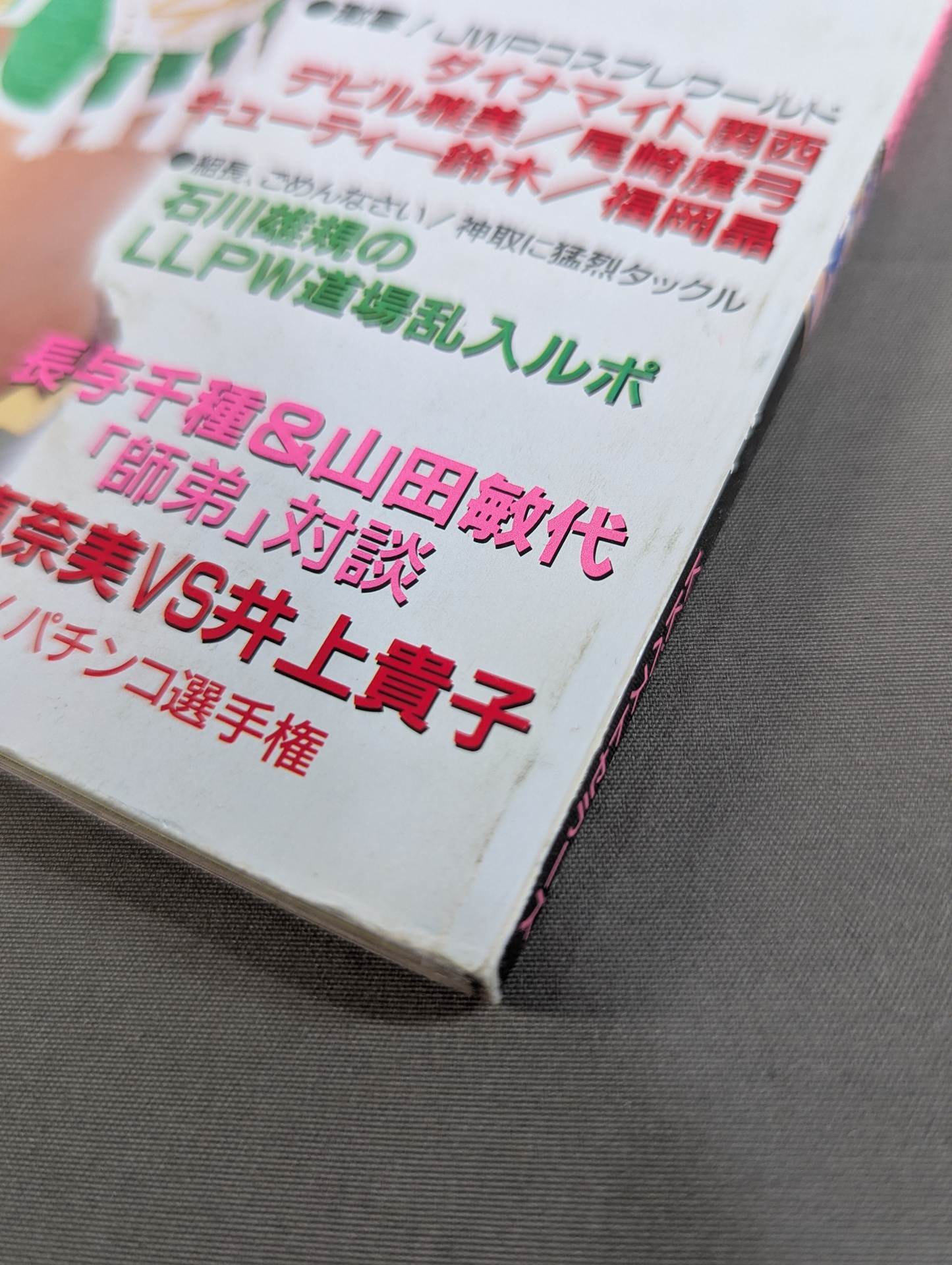 女子プロレス SUPER BOOK!2 総力特集・北斗引退&東京ドーム記念号 – 闘道館