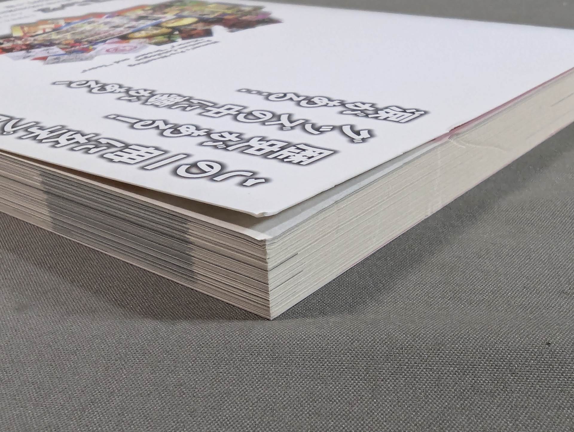 女子プロレス 不滅のお宝読本 – 闘道館