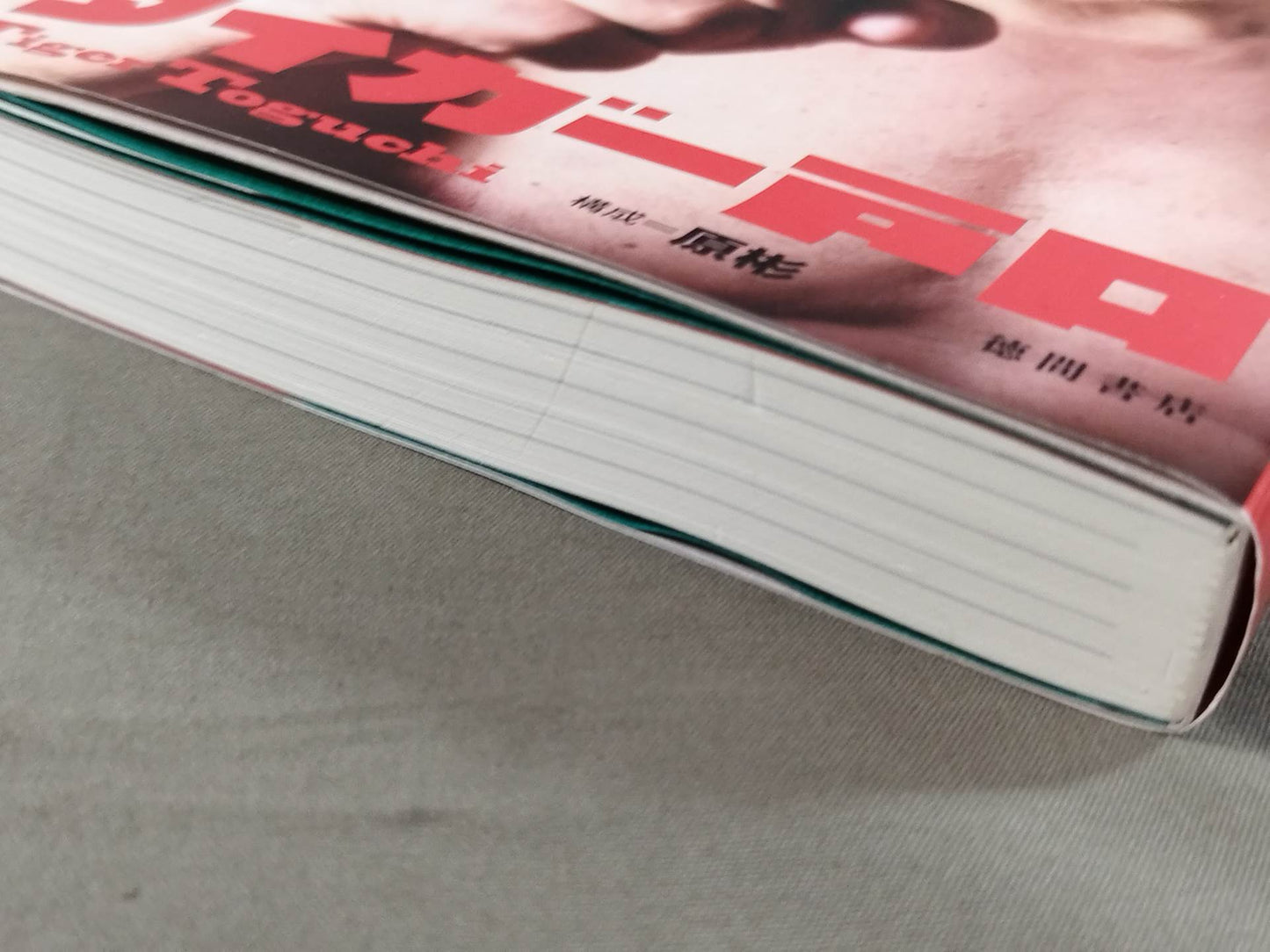 Tiger's Memoirs: Showa Pro Wrestling: The Dark Secret History