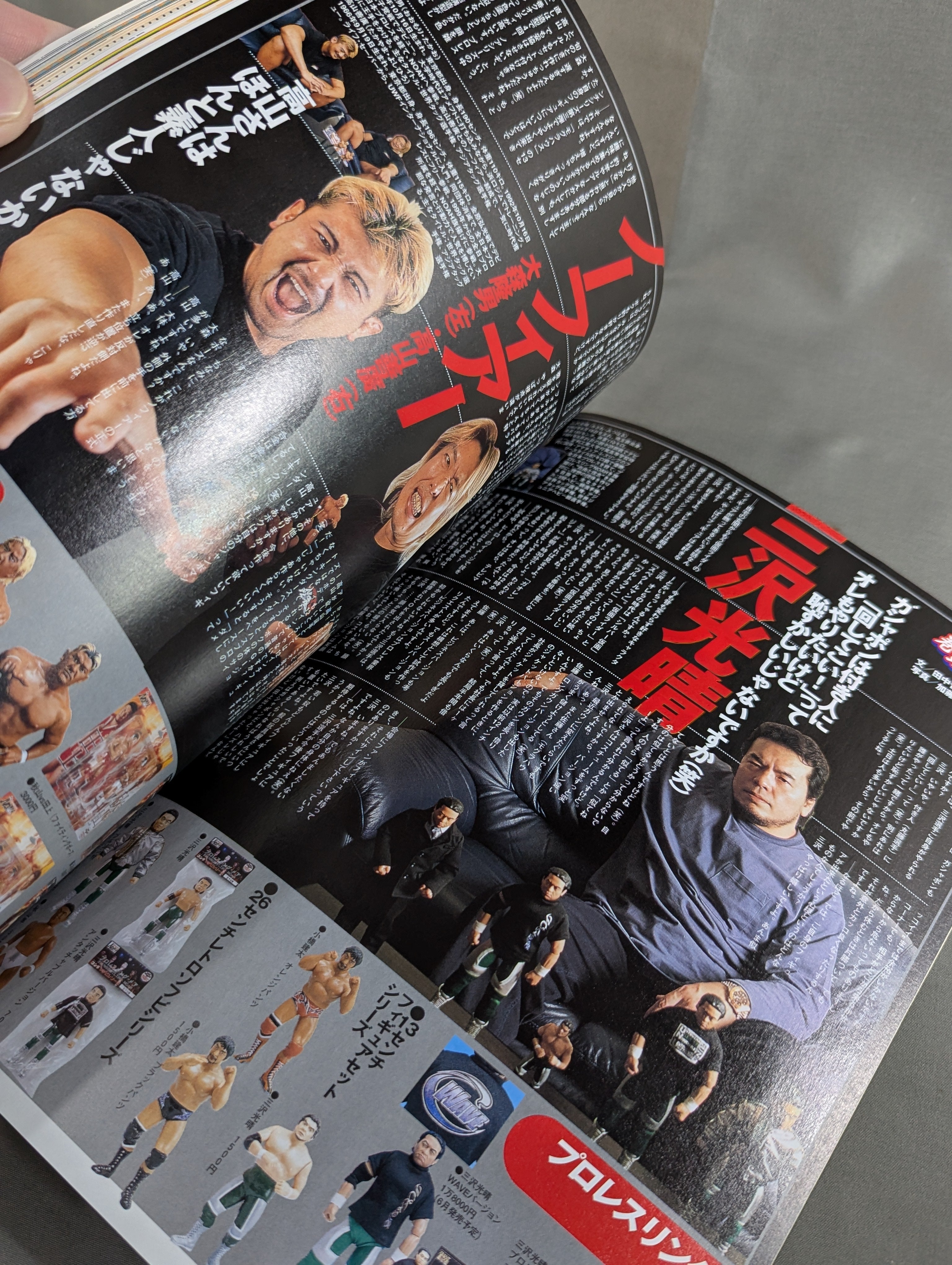 フィギュア王 No.43 特集激闘プロレスフィギュア – 闘道館