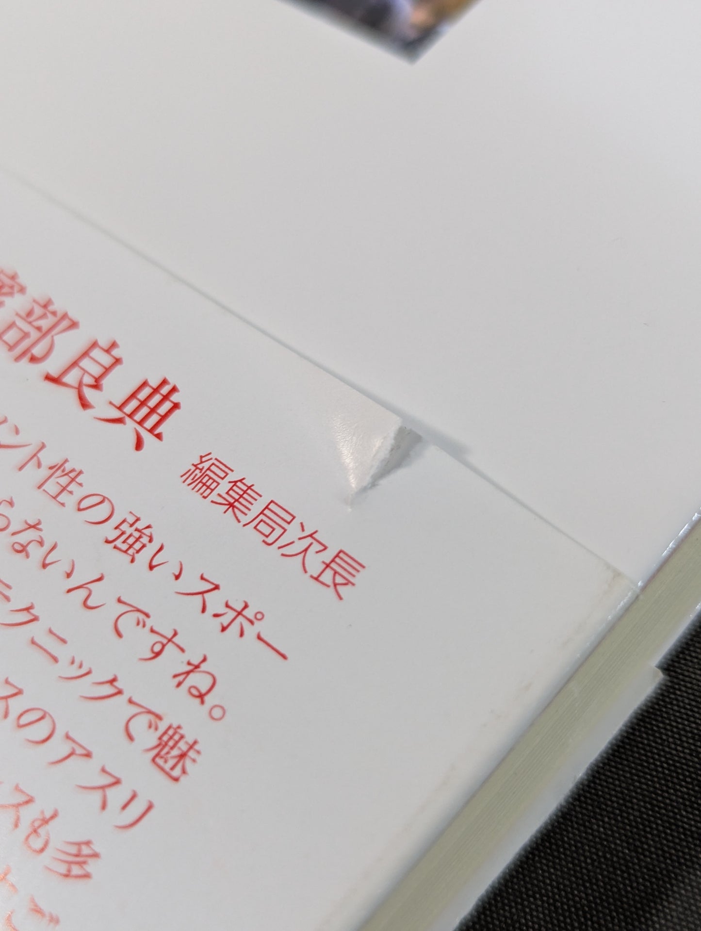 山崎五紀 五紀伝 女子プロレスラーとして生きた私