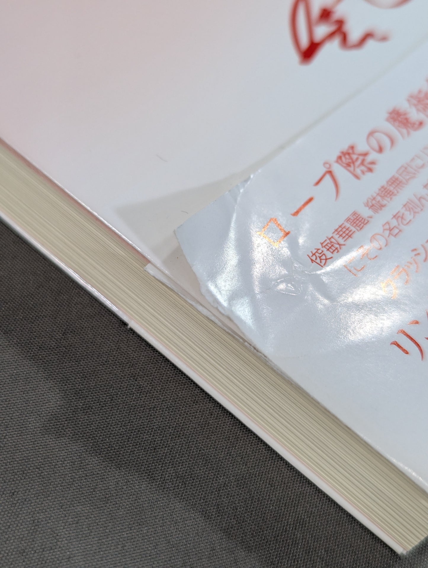 山崎五紀 五紀伝 女子プロレスラーとして生きた私