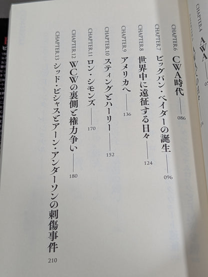 ベイダータイム 皇帝戦士の真実