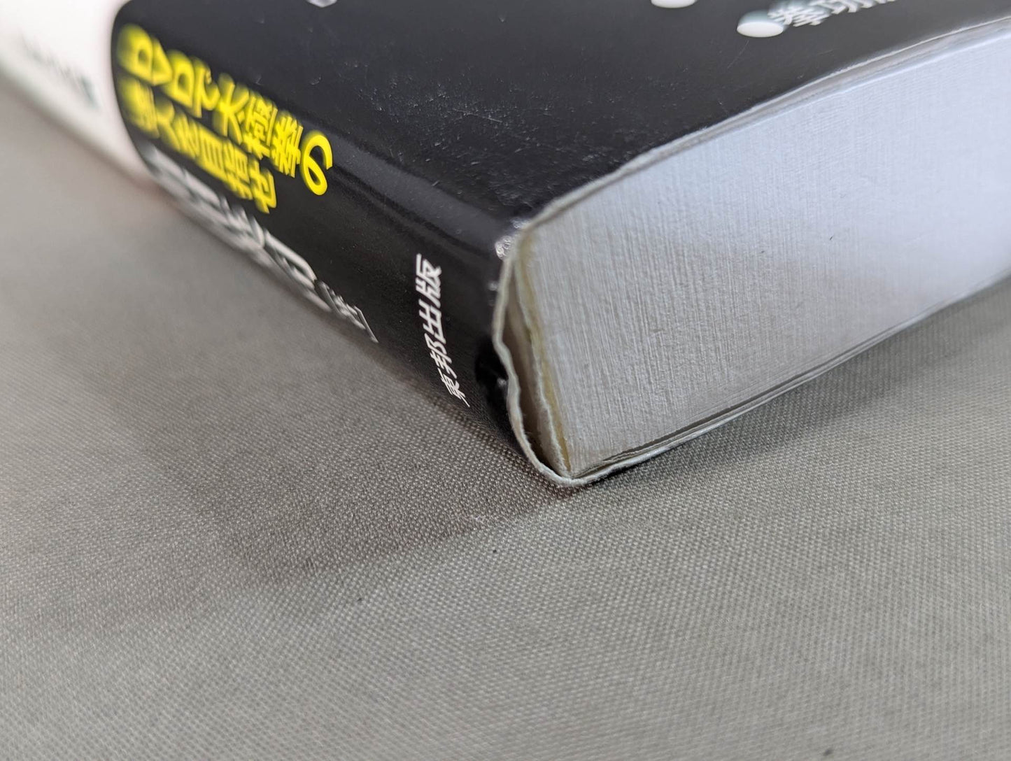 【DVD付】増補改訂版 武術の構造 もしくは太極拳を実際に使うために