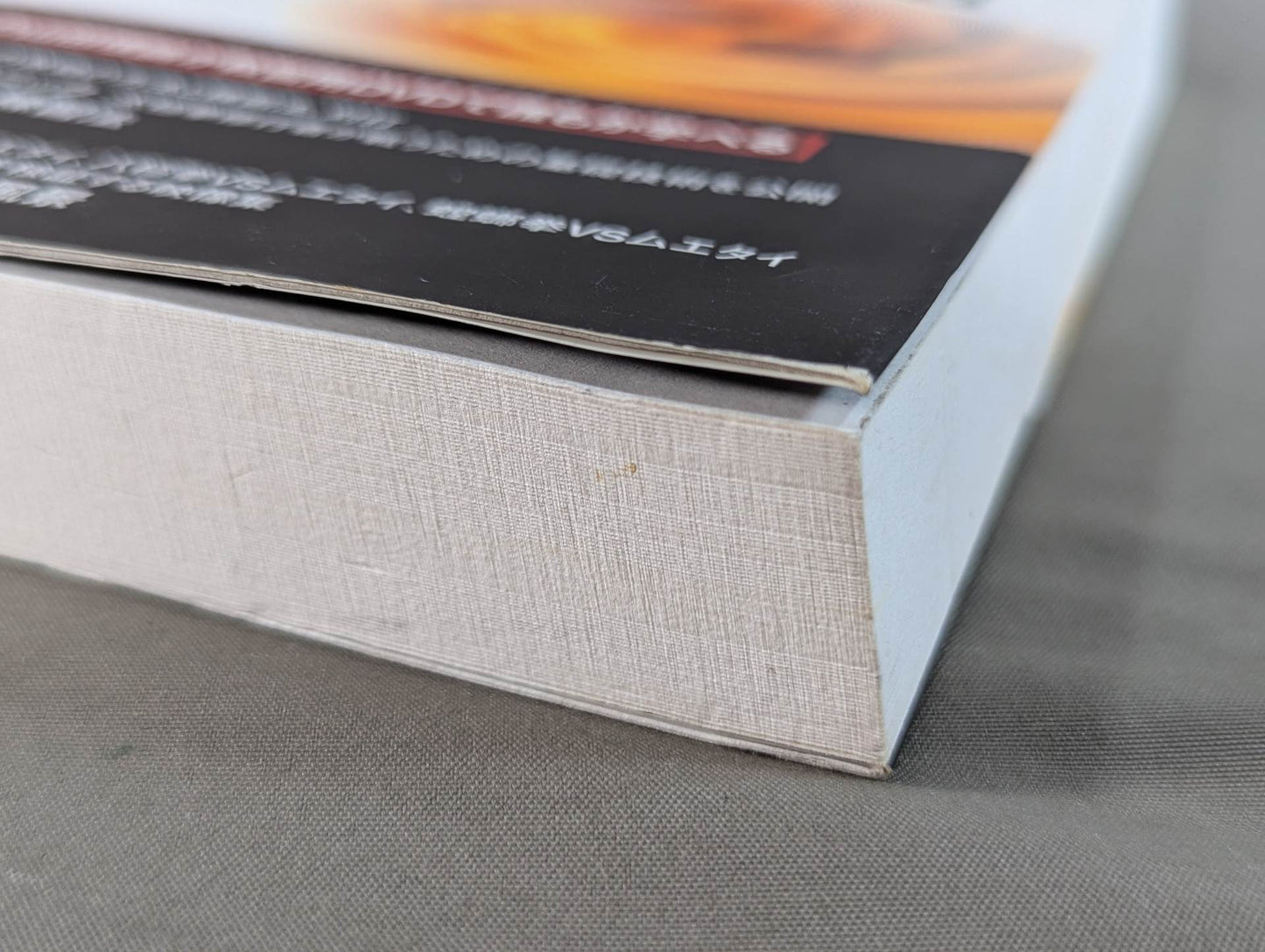 【DVD付】増補改訂版 武術の構造 もしくは太極拳を実際に使うために