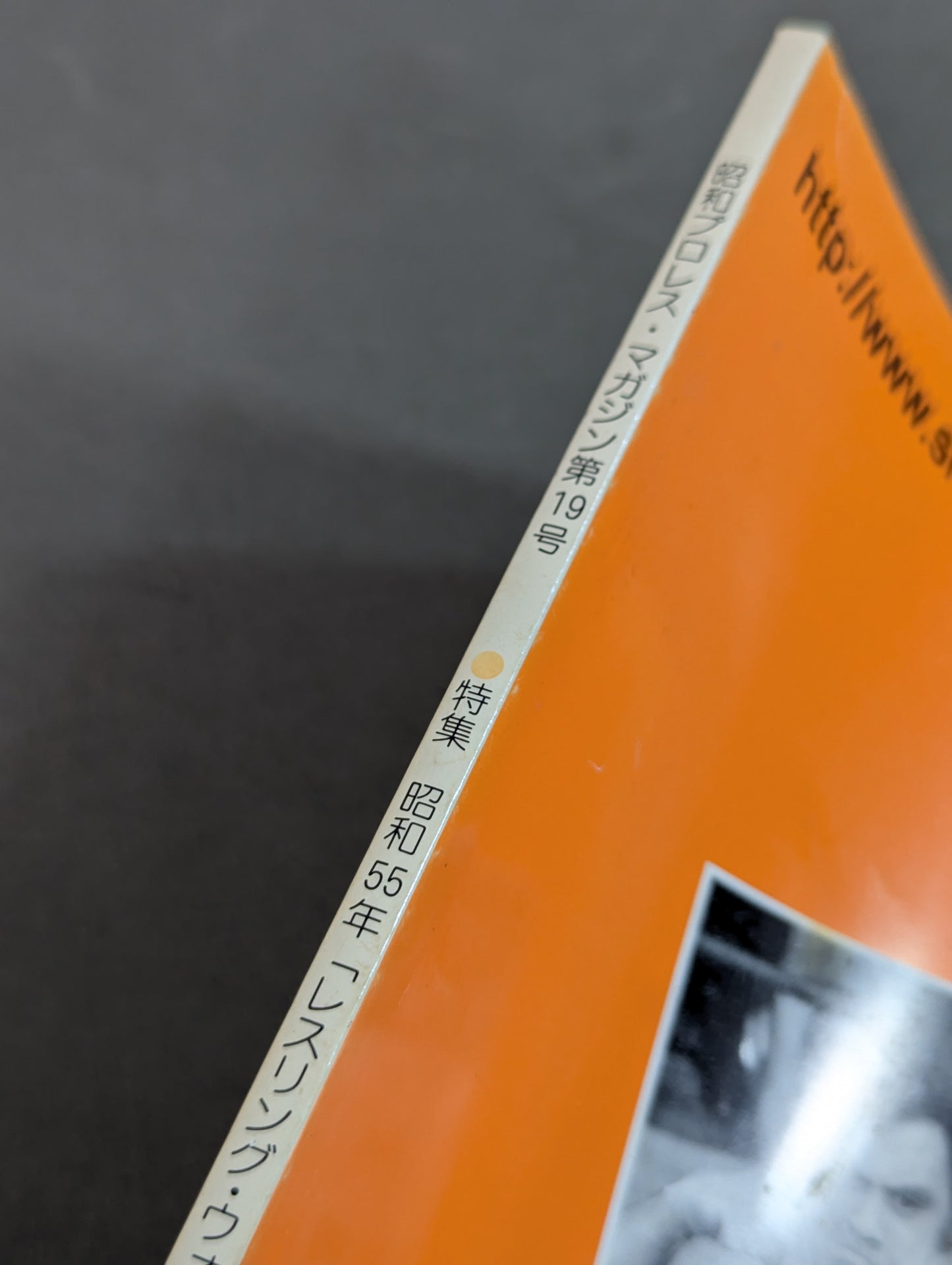 ミック博士の昭和プロレスマガジン第19号 ★特集 昭和55年 レスリング・ウォー前夜★