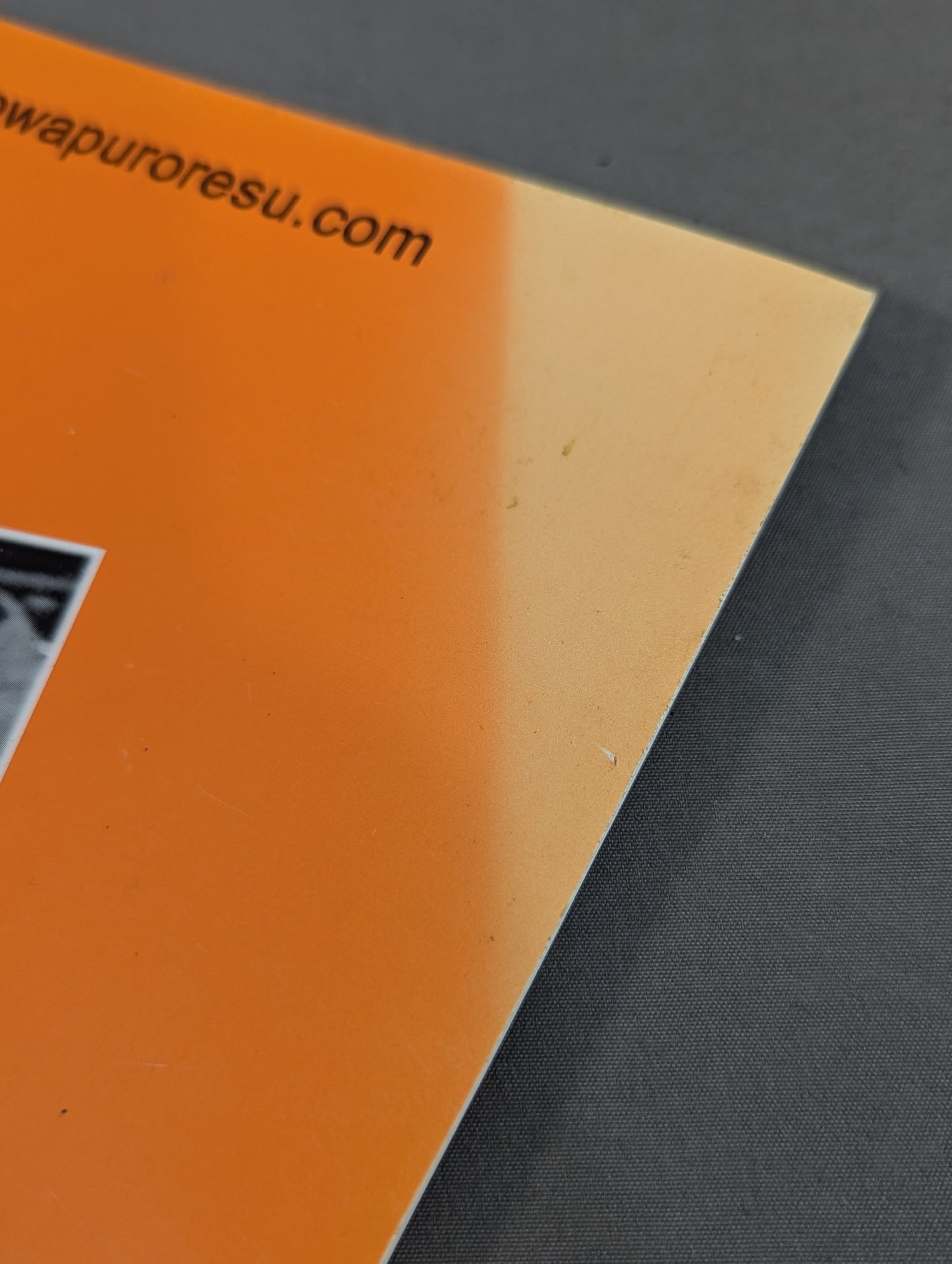 ミック博士の昭和プロレスマガジン第19号 ★特集 昭和55年 レスリング・ウォー前夜★