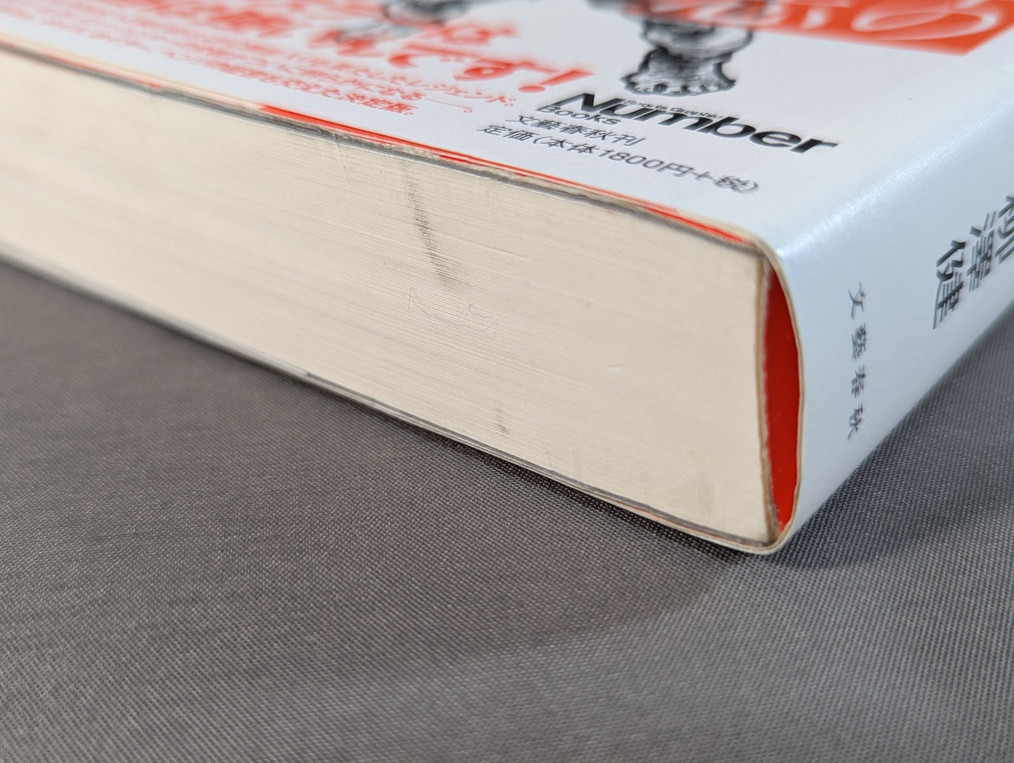 2000年の桜庭和志