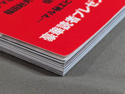 The truth told by an eyewitness to the history of Japan's Pro Wrestling! I'm still on the battlefield! 〈Lion Scroll〉