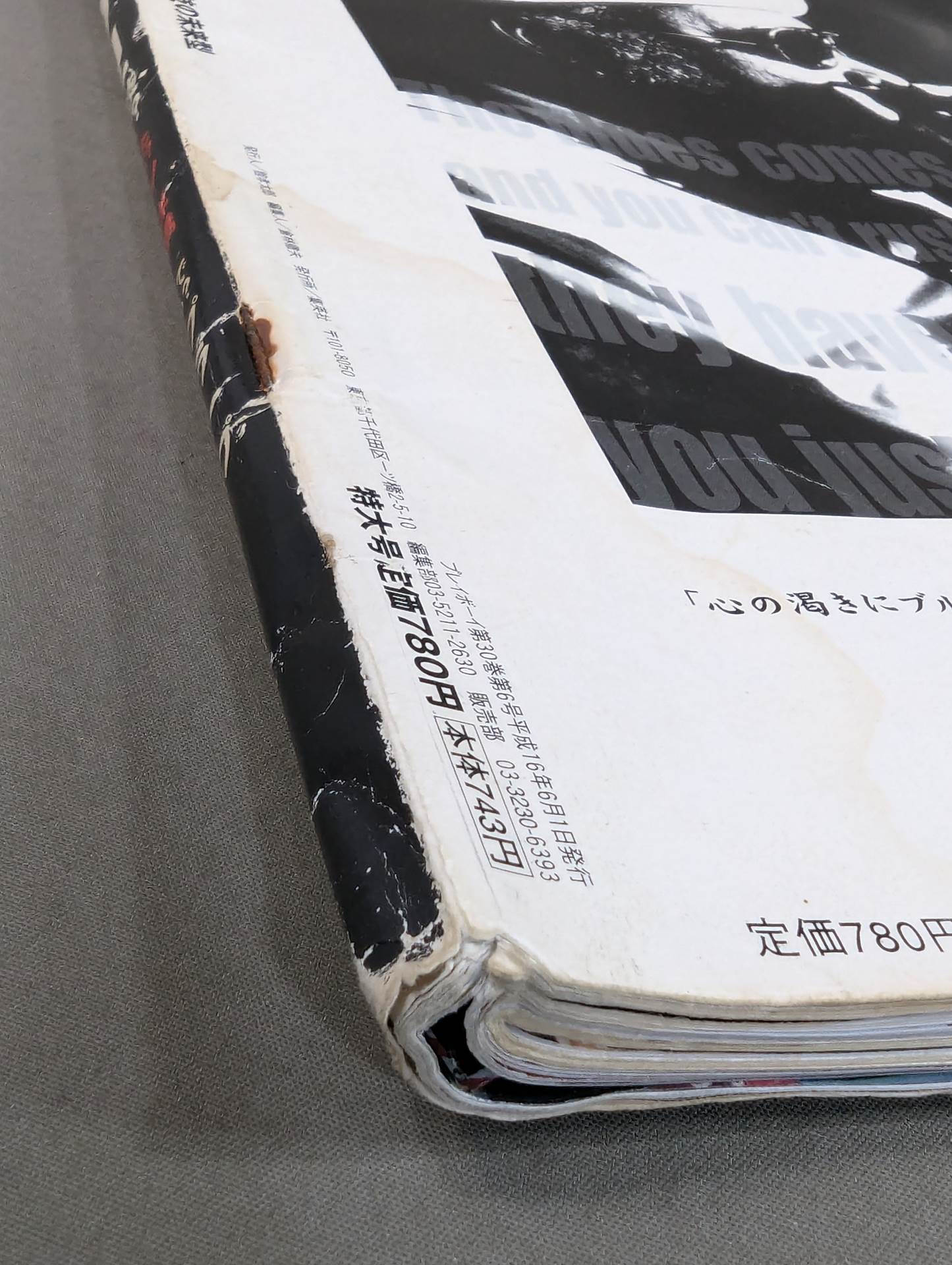 PLAYBOY No.352★トリー・ウィルソンとセイブル､裸の場外乱闘★