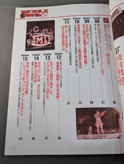 Women's Pro Wrestling  Incident File2