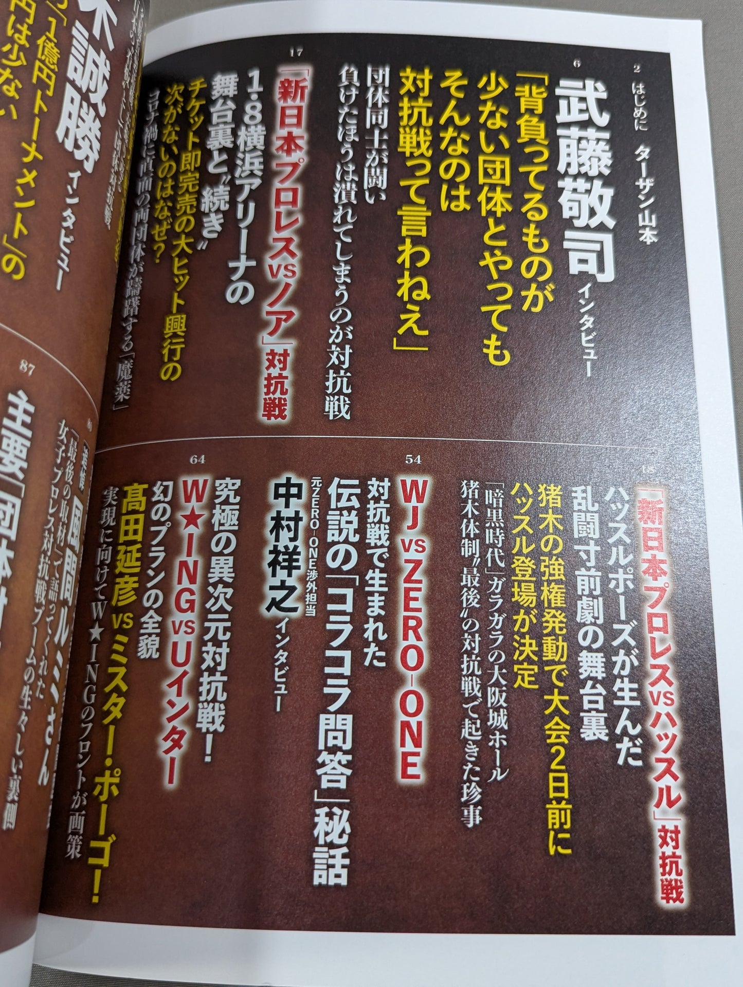 Series Paradoxical Pro Wrestling Vol.21 Pro Wrestling  frenzy "promotion  competition" Light and Shadow