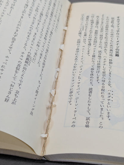 ミスター高橋のプロレスラー陽気な裸のギャングたち