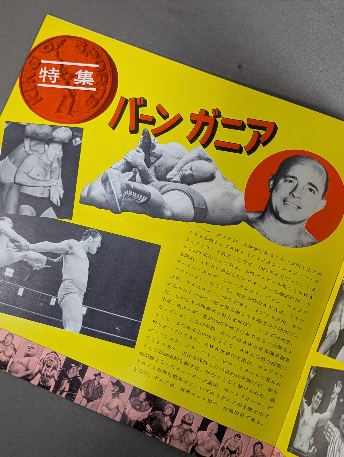 73第5回IWAワールド・シリーズ