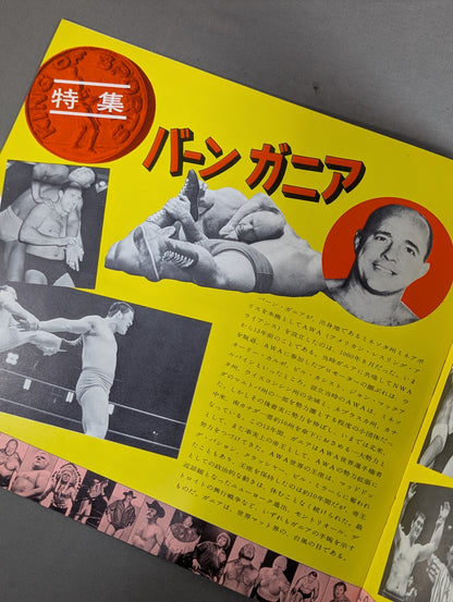 73第5回IWAワールド・シリーズ
