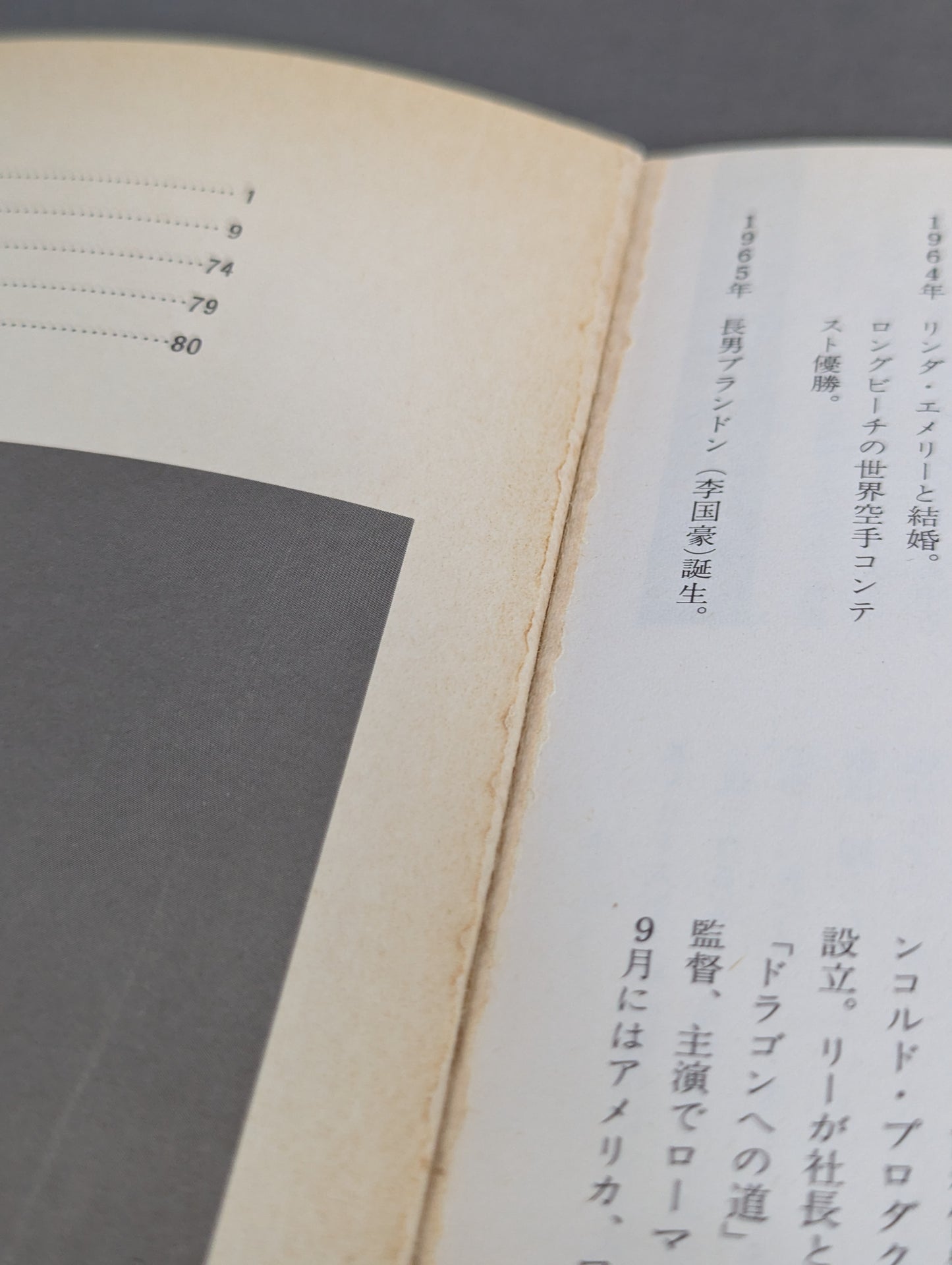 帰らざる英雄ブルース・リー