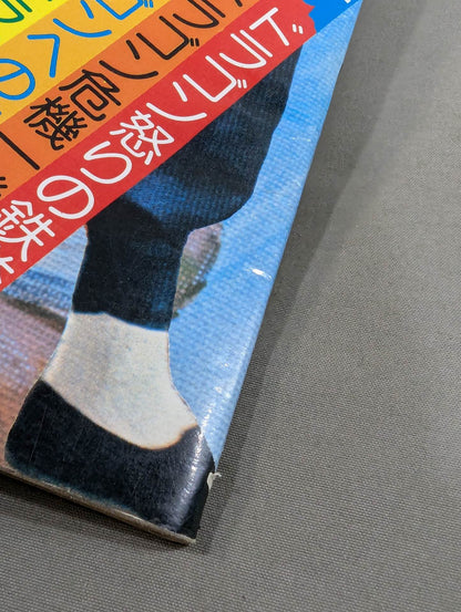 別冊朝日ソノラマ アクションパンチ ブルース・リー ドラゴン