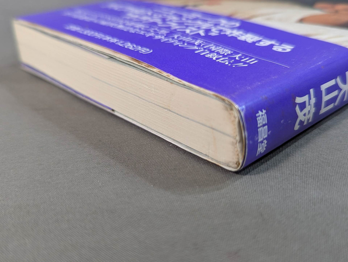 The Strongman: The Man with the Strongest Fist in America