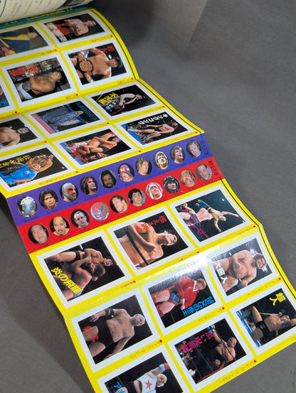 プロレス・オールガイドブック③ プロレスラー過激なるロマンの戦士