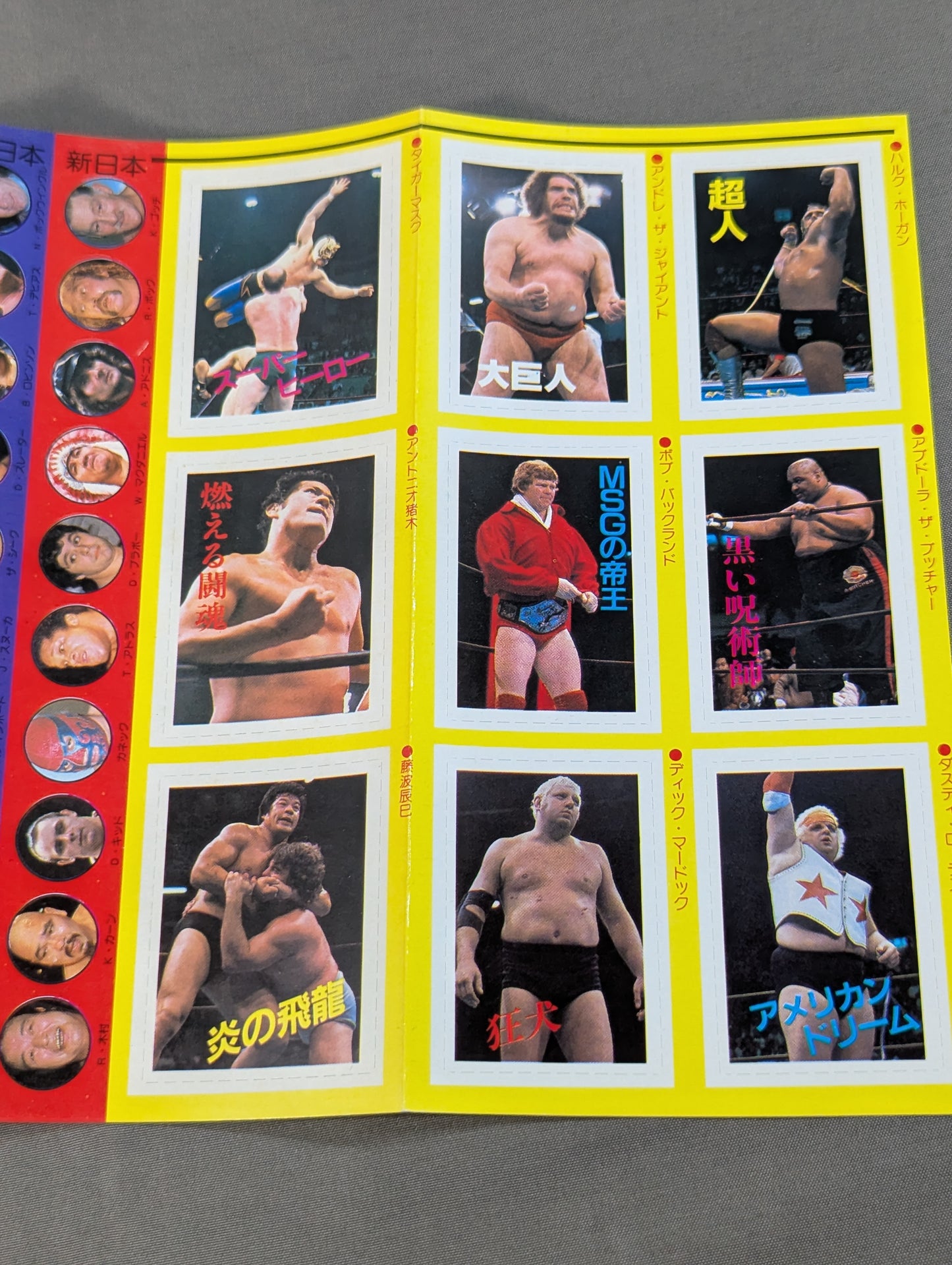 プロレス・オールガイドブック③ プロレスラー過激なるロマンの戦士