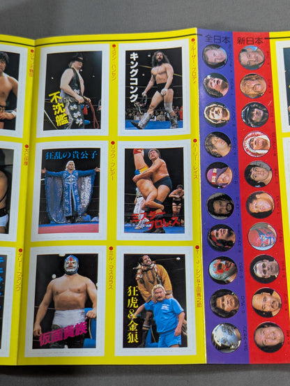 プロレス・オールガイドブック③ プロレスラー過激なるロマンの戦士
