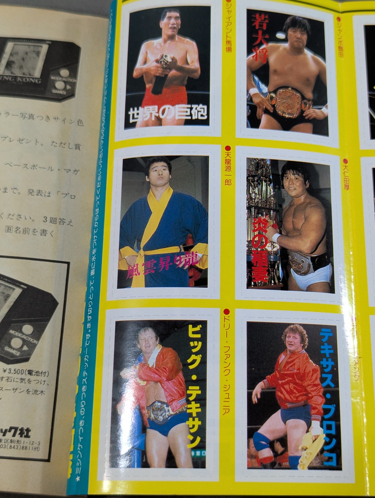 プロレス・オールガイドブック③ プロレスラー過激なるロマンの戦士