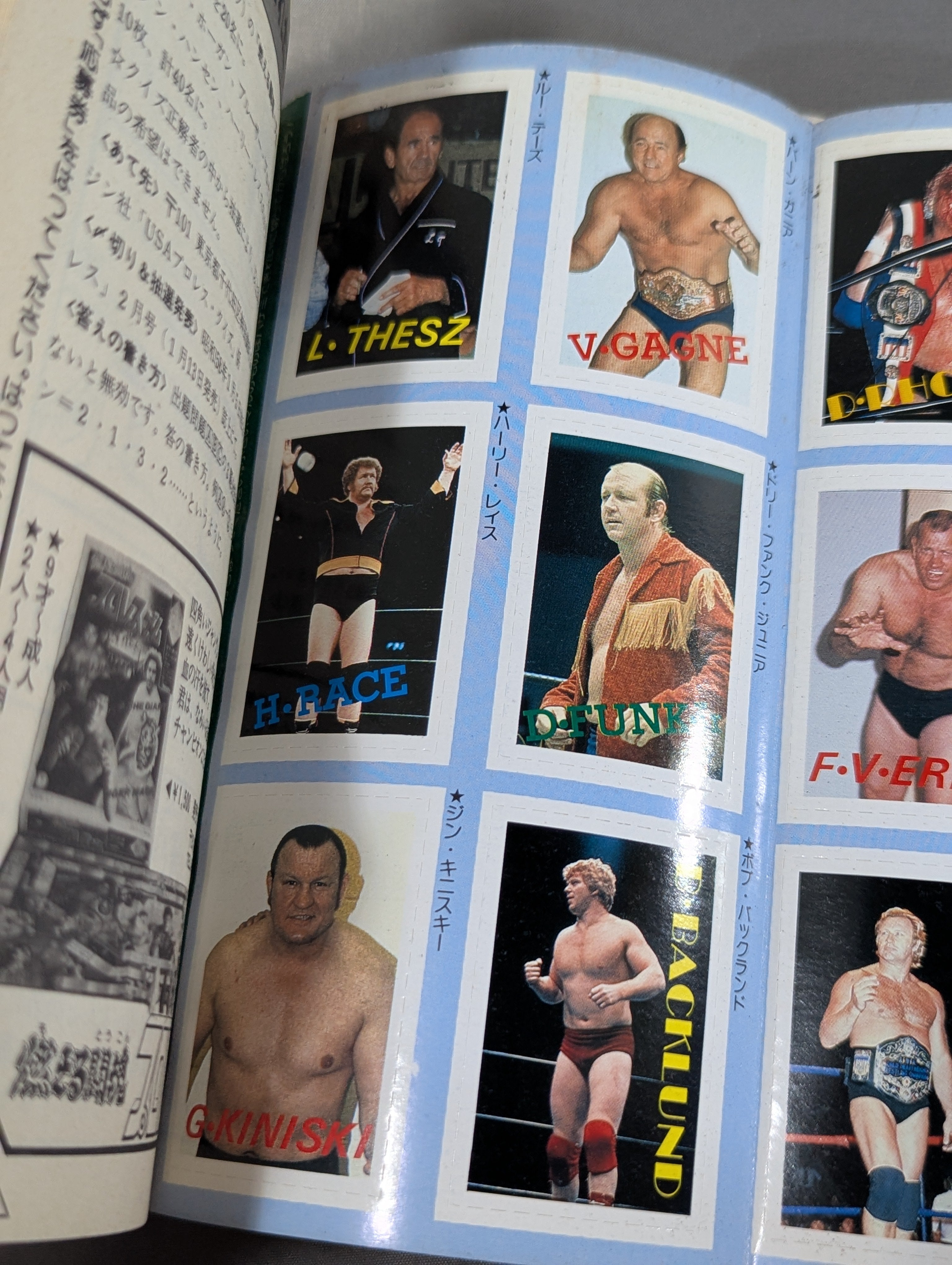 プロレス・オールガイドブック④ プロレスリングUSAザ・ベスト – 闘道館