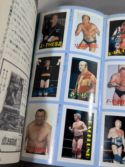 プロレス・オールガイドブック④ プロレスリングUSAザ・ベスト