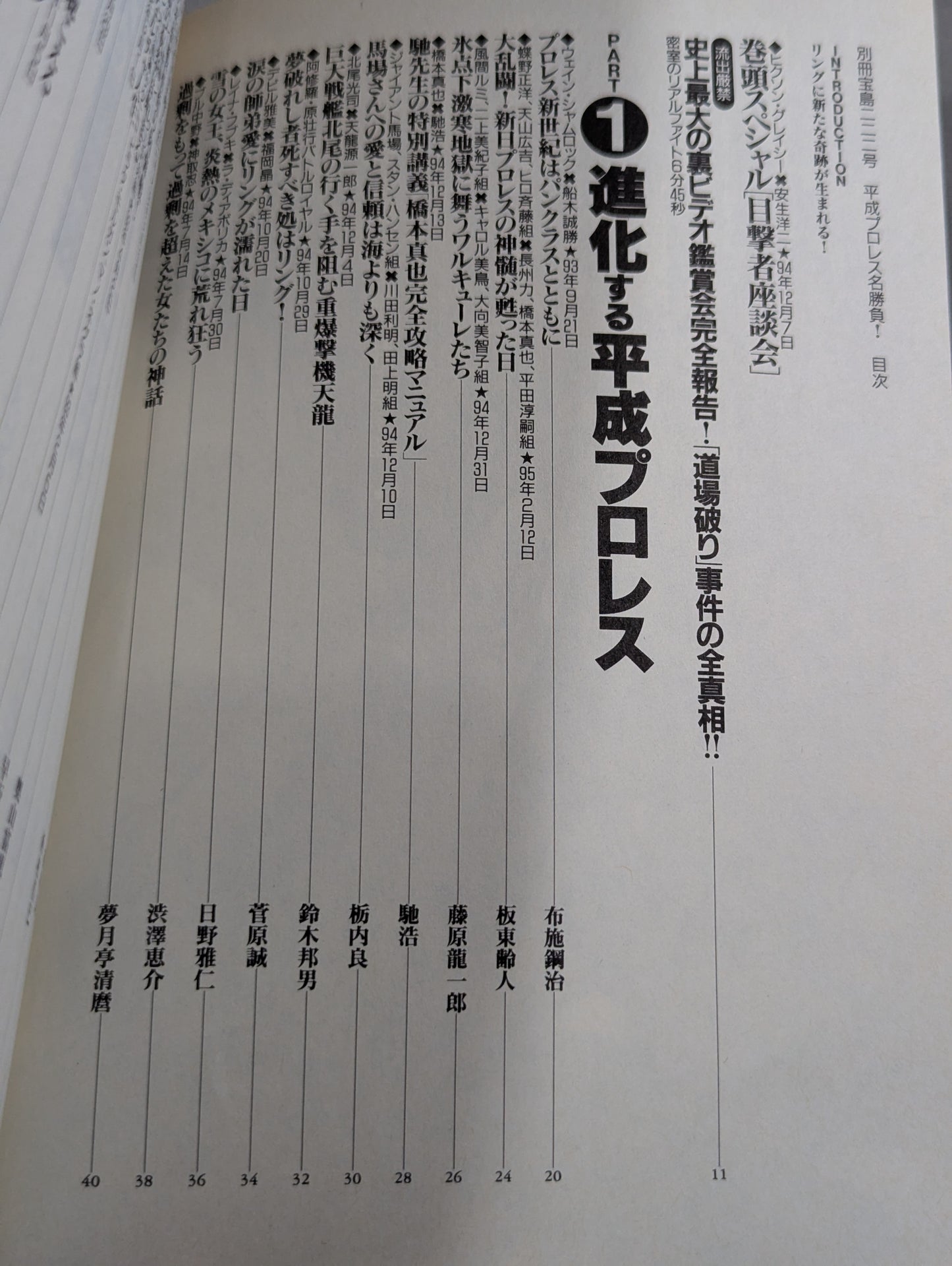 Bessatsu Treasure Island 222 Heisei Pro Wrestling  Famous Game! 100 Miracle Masterpieces