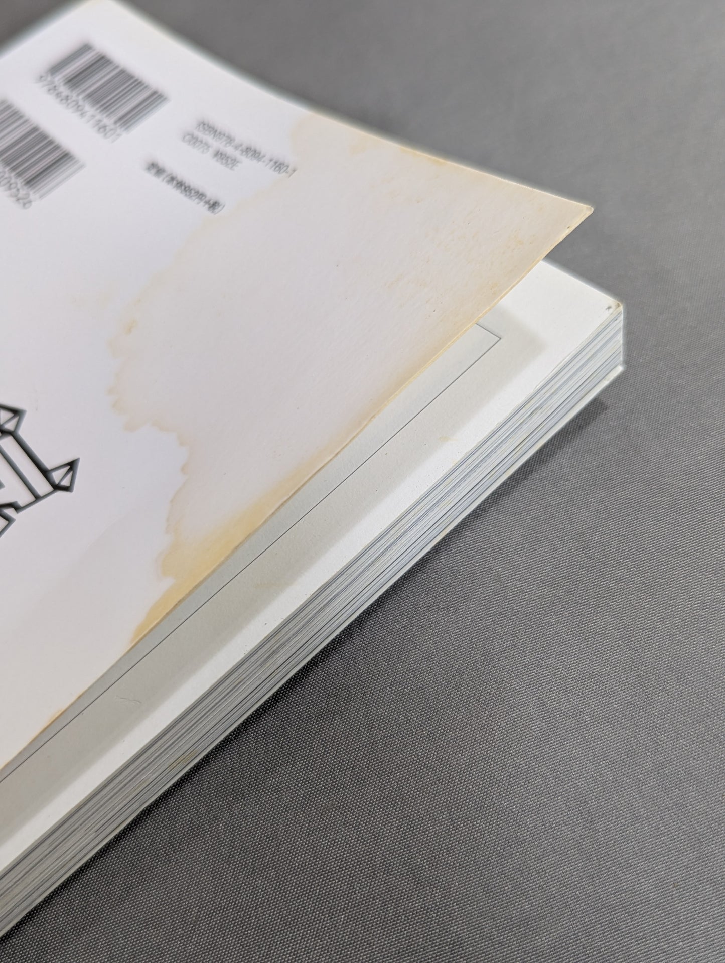 KAMINOGE Vol.22 / When Yuma Asami laughs, the world laughs.