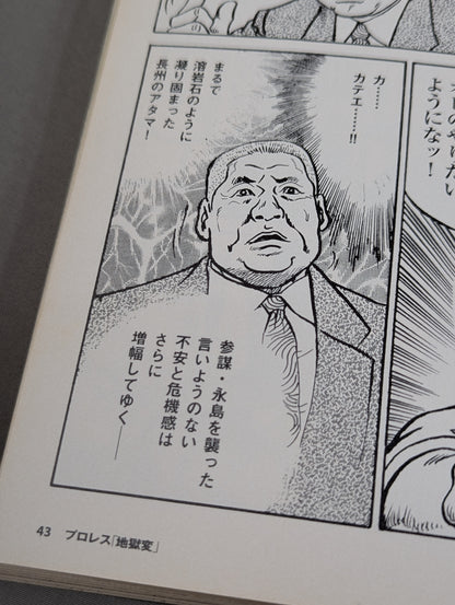 Bessatsu Takarajima 1630 Pro Wrestling  "Hell Change" Drawing the "Light and Shadow" of Fighting Men The definitive version of Pro Wrestling!