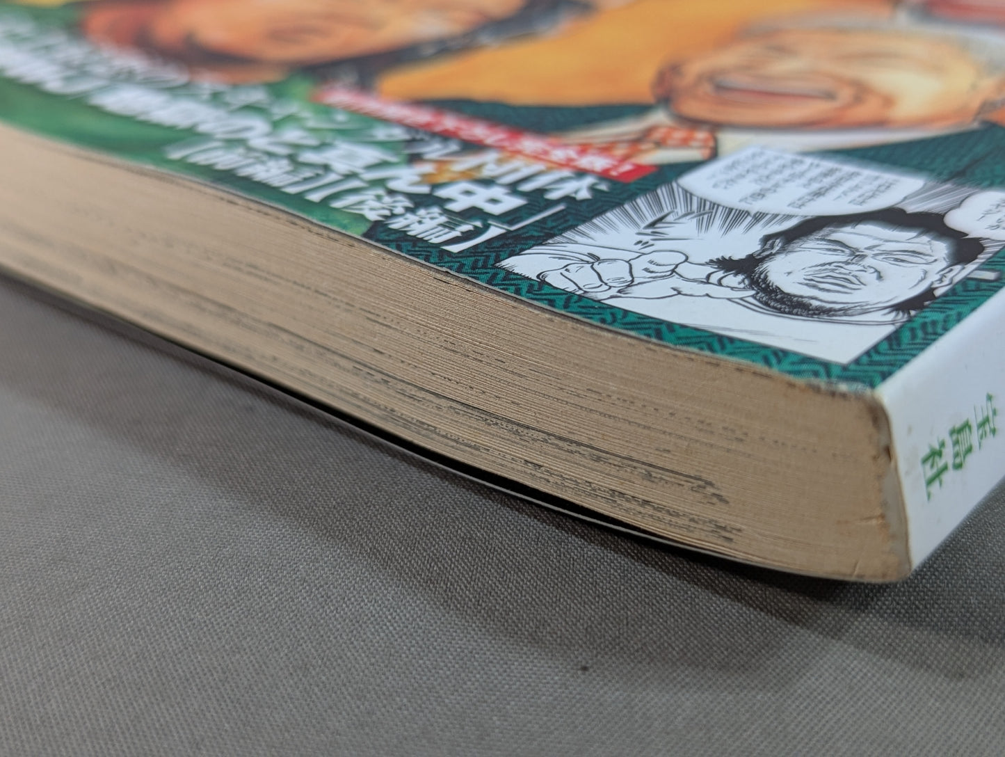 別冊宝島1630 プロレス『地獄変』闘う男たちの｢光と影｣を描くプロレス劇画の決定版!