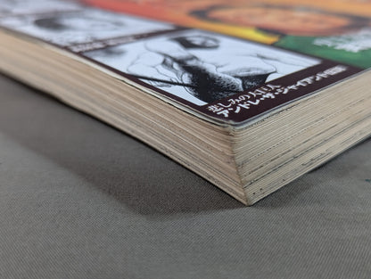 Bessatsu Takarajima 1630 Pro Wrestling  "Hell Change" Drawing the "Light and Shadow" of Fighting Men The definitive version of Pro Wrestling!