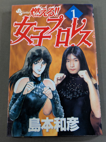 [All 3 volumes set] Burning! !! Women's Pro Wrestling