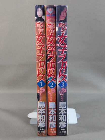 [All 3 volumes set] Burning! !! Women's Pro Wrestling
