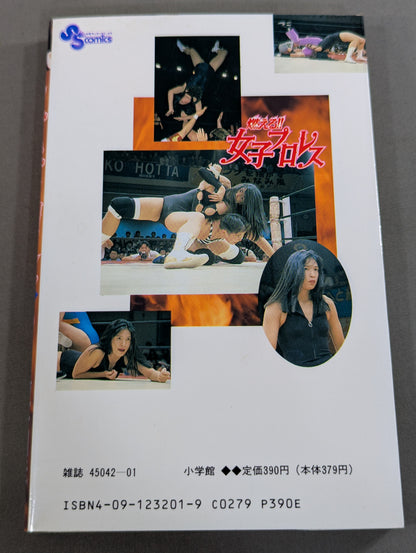 [All 3 volumes set] Burning! !! Women's Pro Wrestling
