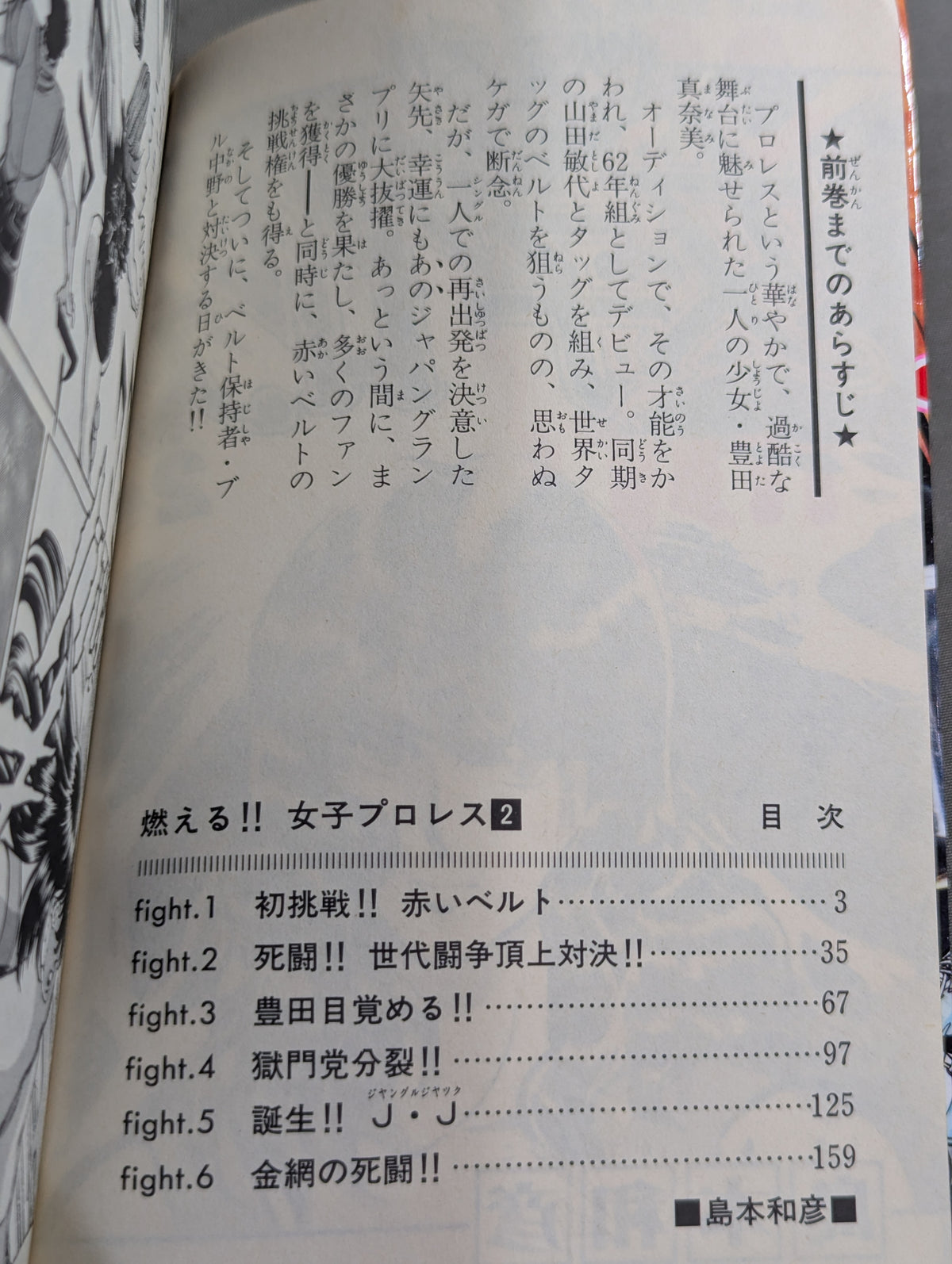 [All 3 volumes set] Burning! !! Women's Pro Wrestling