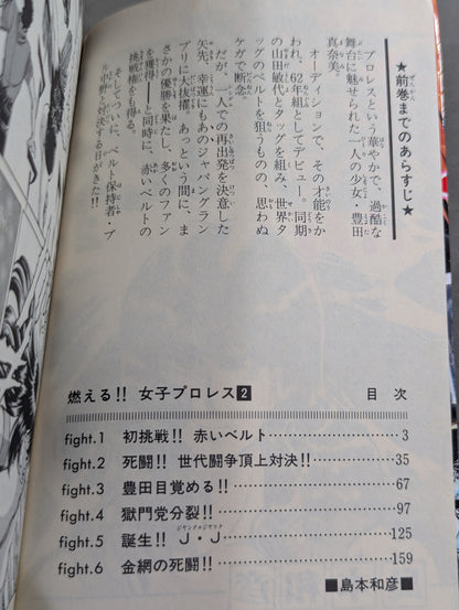 [All 3 volumes set] Burning! !! Women's Pro Wrestling