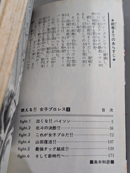 [All 3 volumes set] Burning! !! Women's Pro Wrestling