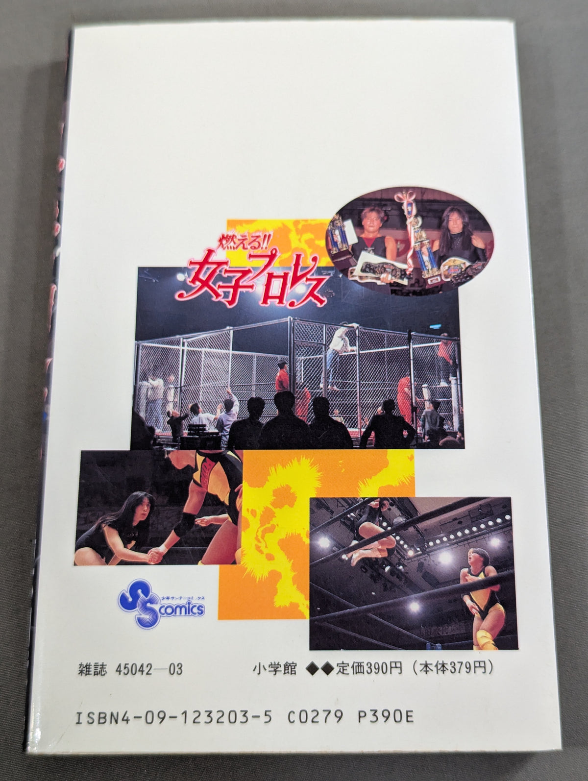 [All 3 volumes set] Burning! !! Women's Pro Wrestling